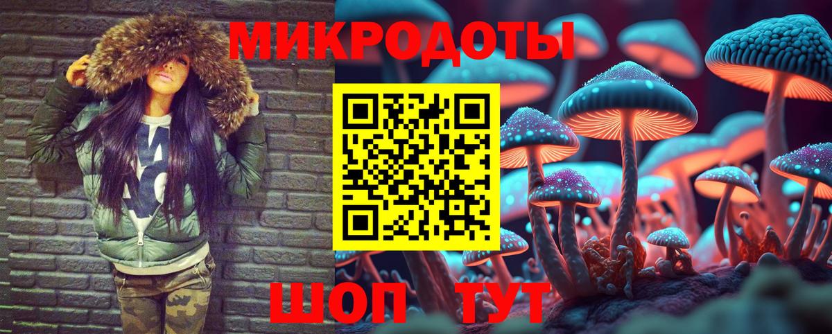 Галлюциногенные грибы Cubensis  Вход с VPN  Сыктывкар 